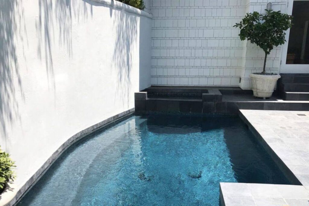 Compact plunge pool in a small Newcastle backyard with sleek black tiling, white privacy walls, and minimal landscaping for a clean, modern look.