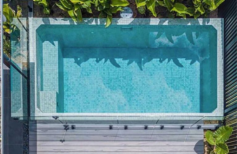 Elevated rectangular plunge pool with glass edge, light blue tiles, and tropical landscaping in a modern backyard in Newcastle NSW